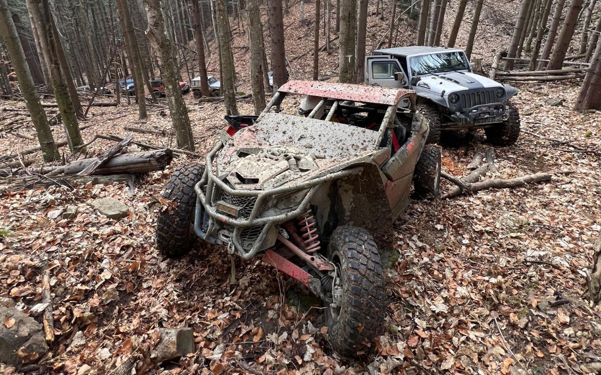SSV și Jeep echipate pe un traseu de pădure